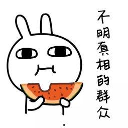 娱乐吃瓜酱背单词,趣味学习两不误